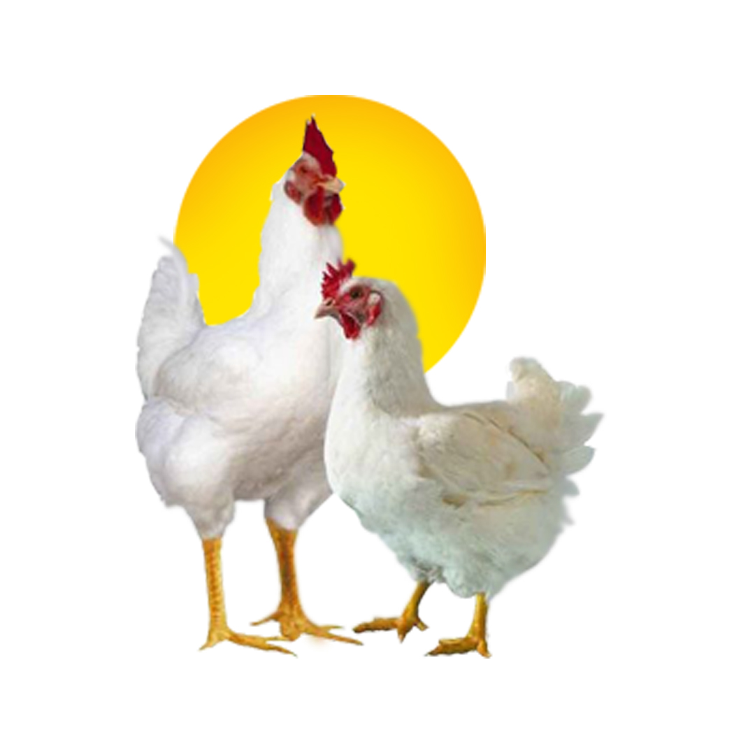 Dreams Chicken and Fish Center